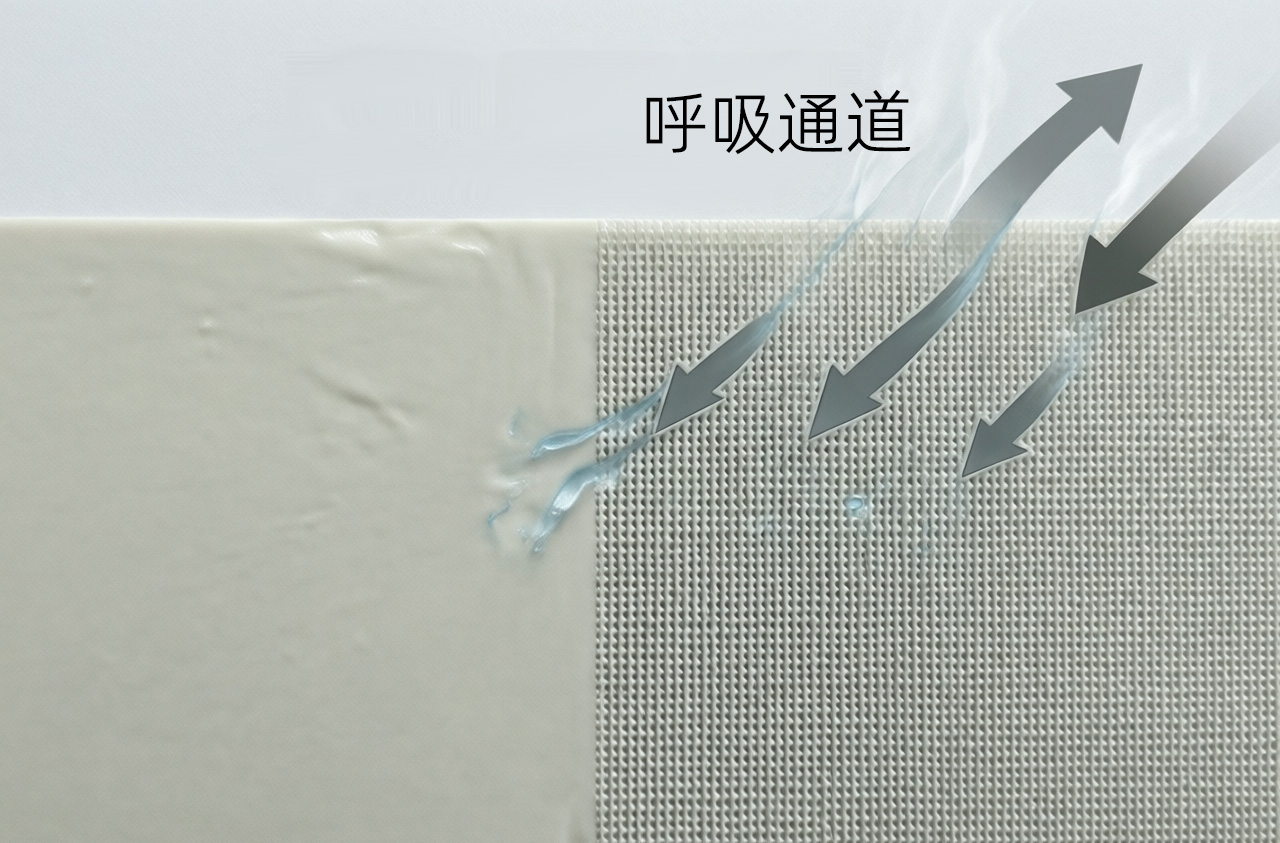 背胶面微观结构图