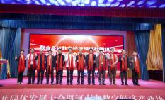 河南省数字经济产业协会新春年会 (14).jpg