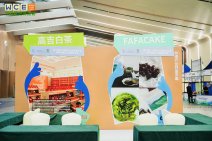 WCE世界营地博览会大会现场 (61).jpg