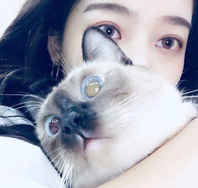 田甜莉