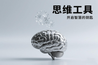 思维工具：无反驳批评