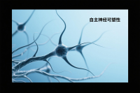 自主神经可塑性，掌握自我提升内驱力