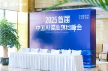 2025首届·中国AI商业落地峰会 (45).jpg