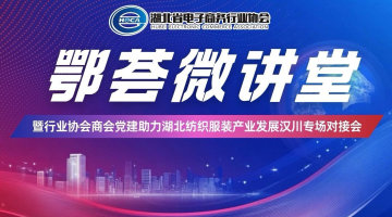 鄂荟微讲堂——暨行业协会商会党建助力湖北纺织服装产业发展汉川专场对接会