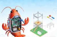 龙虾壳里的黑科技：线下活动场地搭建不翻车的冷门实战手册