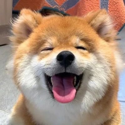 庞涛