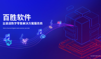 2025百胜软件公司介绍