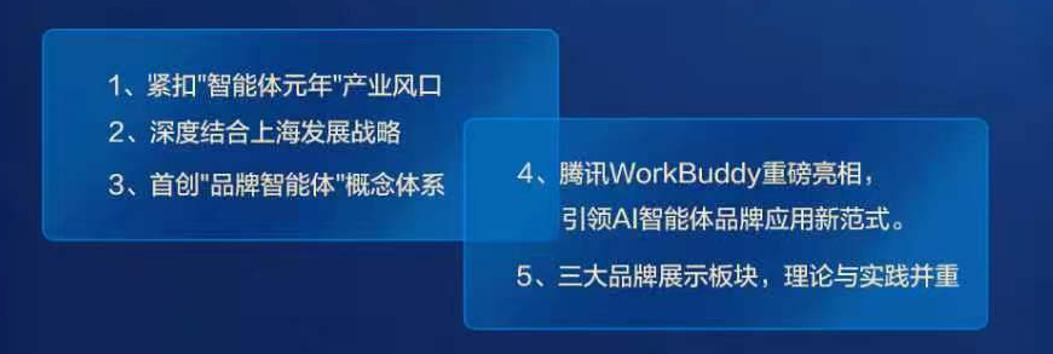 活动亮点