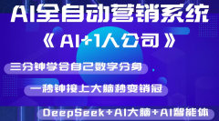AI全自动营销系统《AI+1人公司》