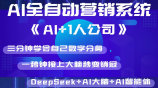 AI全自动营销系统《AI+1人公司》