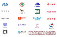 百胜软件消费品牌数字化升级实战指南：全渠道整合与智慧增长案例精粹