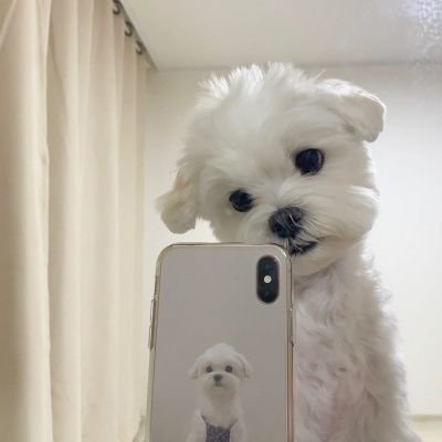 颜竹龙