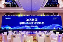 2025首届·中国AI商业落地峰会 (20).jpg
