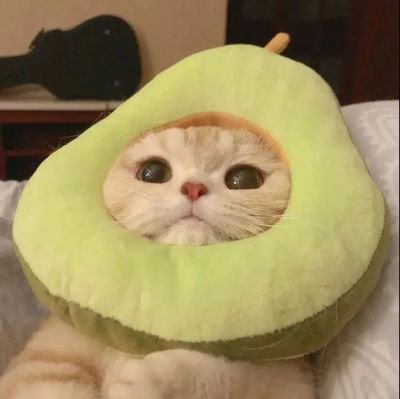 严洁