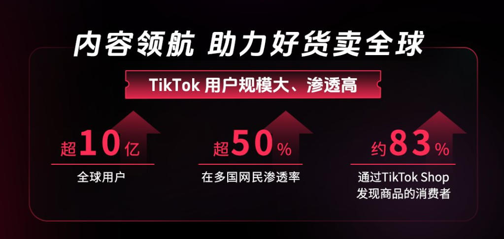 TikTok 用户规模