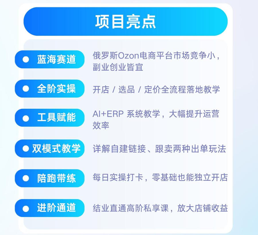 项目亮点