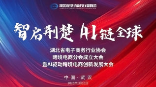 智启荆楚 AI链全球|湖北省电子商务行业协会跨境电商分会成立大会暨AI驱动跨境电商创新发展